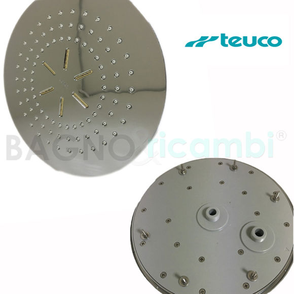 Immagine di ricambio soffione doccia Goloy Teuco Cromo 81100891800