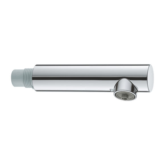 Immagine di Ricambio doccetta per grohe blu pure due canali Grohe 46999000