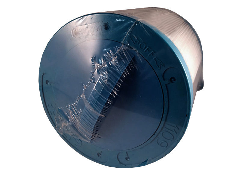 Cartuccia Filtro Per Piscina/spa Guardian 819-198-01 - Sostituisce PSD125, C8320, FC2750