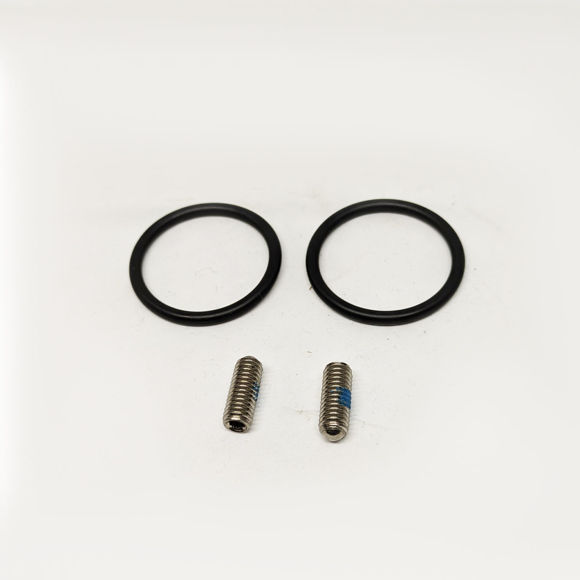 Immagine di Ricambio kit oring con vite a perno per miscelatore doccia Hansgrohe 98372000