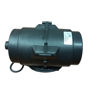 Immagine di Ricambio motore blower 700W eco con switch per vasca idro ECO2700SW